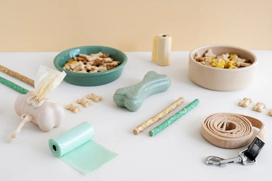 Perlengkapan Hewan Peliharaan Cerdas untuk Pemilik Modern