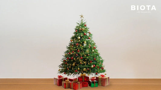 Aksesoris Natal