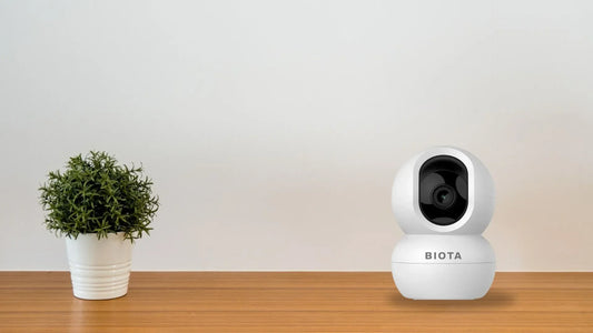 CCTV IP Camera