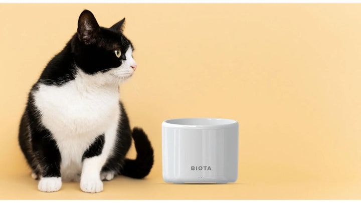 Smart Pet Water Fountain