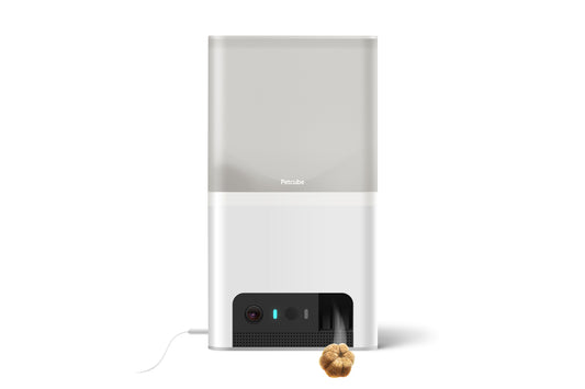 Cara Setup dan Instalasi Petcube Bites 2 Lite Smart Pet Camera