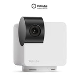 Petcube Cam 360: Cara Kerja, Manfaat, dan Alasan Menjadi Kamera Pemantau Hewan Terbaik