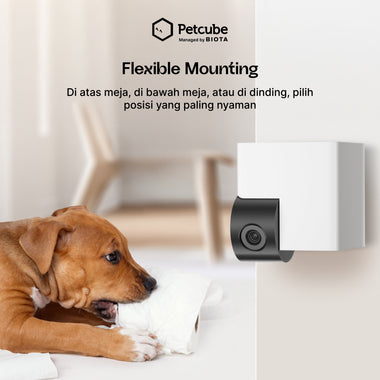 BIOTA X PETCUBE Cam 360 - Smart Pet Monitoring Camera 360 Derajat