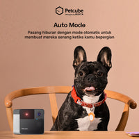 BIOTA X PETCUBE Play 2 - Smart Pet Monitoring with Laser Toy