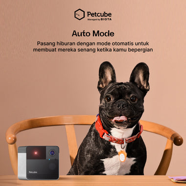BIOTA X PETCUBE Play 2 - Smart Pet Monitoring with Laser Toy