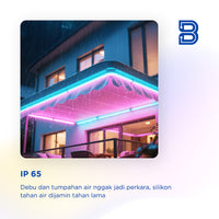 BIOTA Smart LED Neon Flex