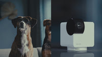 BIOTA X PETCUBE Cam 360 - Smart Pet Monitoring Camera 360 Derajat