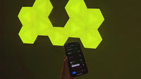 BIOTA Smart Hexagonal Light