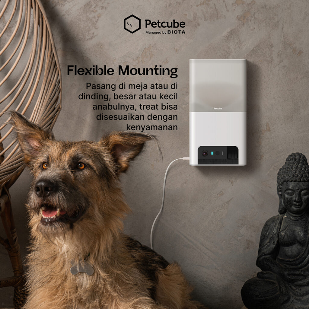 BIOTA Petcube Bites 2 Lite