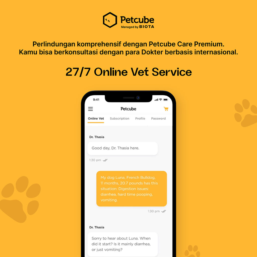 BIOTA Petcube Cam