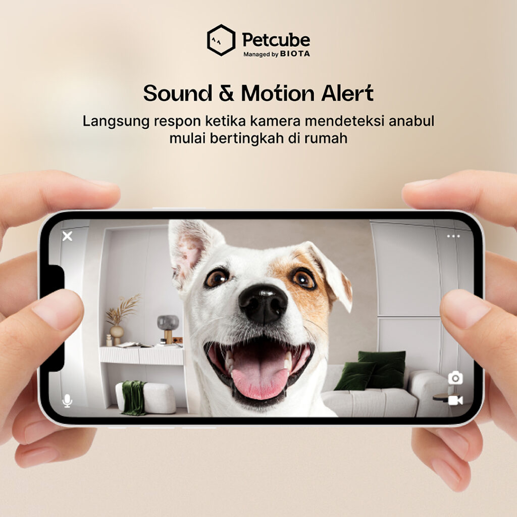 BIOTA Petcube Cam 360