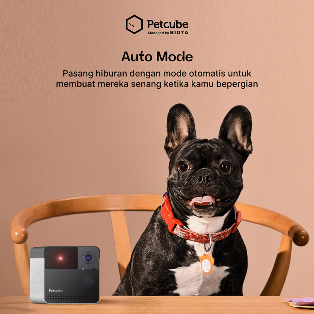 BIOTA Petcube Play 2