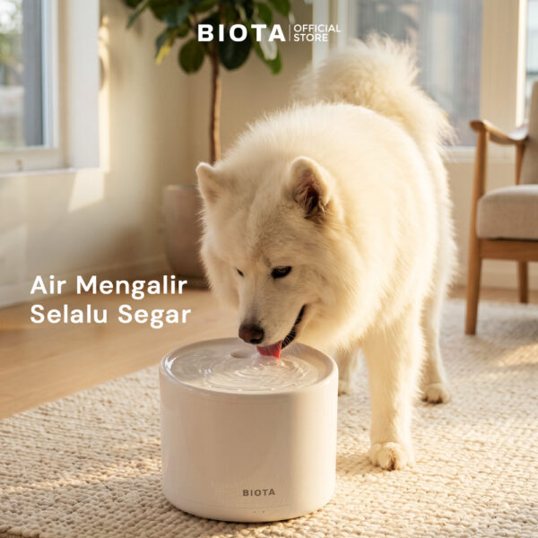 BIOTA Smart Pet Water Fountain