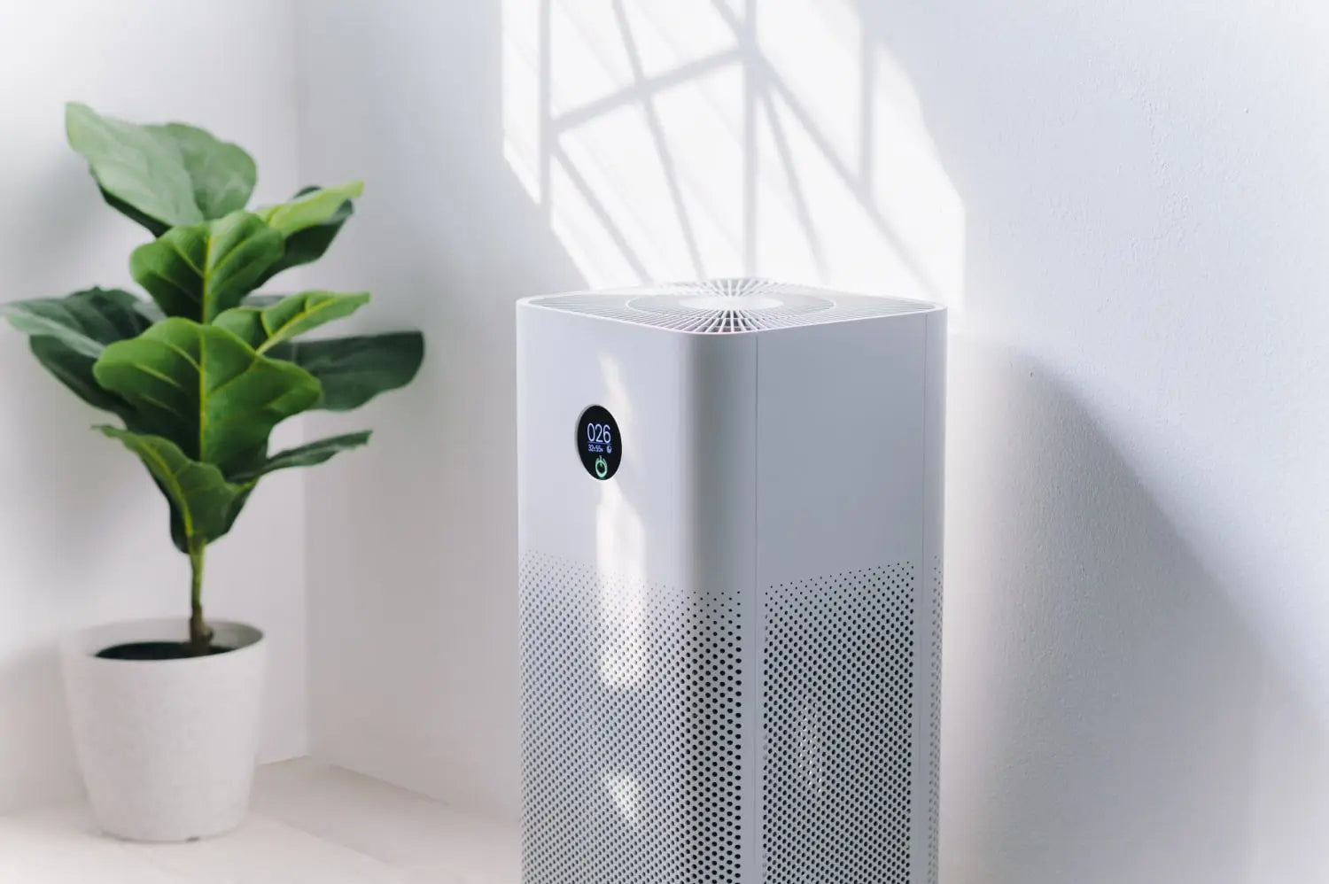 Panduan Memilih Air Purifier Terbaik untuk Kamar, Alergi, dan Bayi