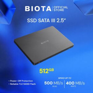 Biota SSD Core Sata III
