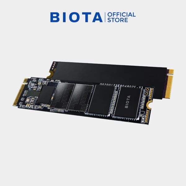 Biota SSD Flux NVMe M.2 PCIe Gen3 x4