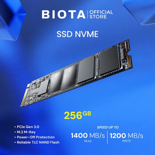 Biota SSD Flux NVMe M.2 PCIe Gen3 x4