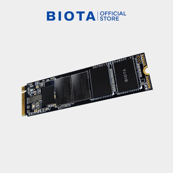 Biota SSD Flux NVMe M.2 PCIe Gen3 x4