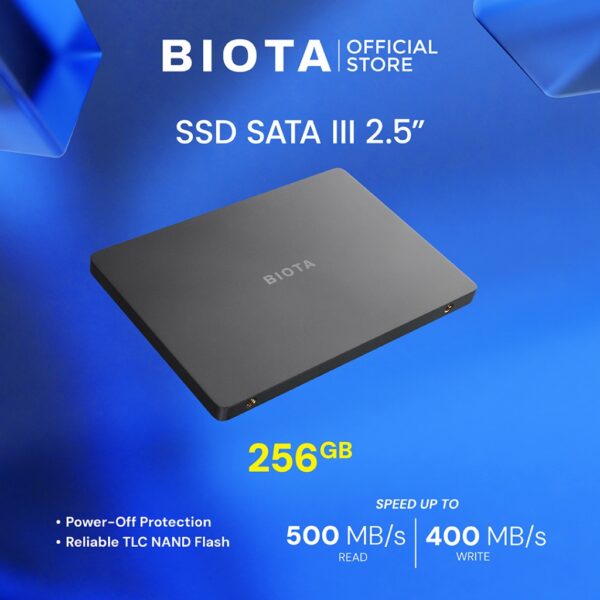Biota SSD Core Sata III